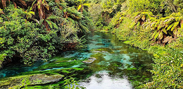 Blue Springs Walkway