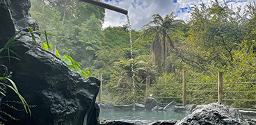 Okoroire Hot Springs